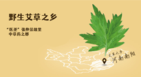 艾草越嫩越好，還是越久越好？悄悄告訴你：艾草這樣用，效果最好！