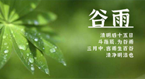 【二十四節(jié)氣灸】谷雨時節(jié)，用艾為您的健康加上一道保險！
