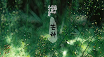 【二十四節(jié)氣灸】芒種節(jié)氣，培土補(bǔ)脾、養(yǎng)陰生津！艾灸這些穴位事半功倍！