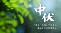 【三伏養(yǎng)生】至熱中伏，吃三樣，喝三樣，三大禁忌千萬別犯，小心落下病根！