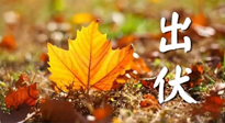 【三伏養(yǎng)生】出伏后做好養(yǎng)生很關(guān)鍵！一行要注意！