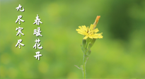 【九九養(yǎng)生】三月四日“九九日”，寒冬已過。春天養(yǎng)好身，全年不怕??！