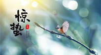 【二十四節(jié)氣灸】驚蟄節(jié)氣，艾灸喚醒抵抗力、補(bǔ)充陽氣的最好時機(jī)！