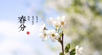 【二十四節(jié)氣灸】春分，平分了大地晝夜；艾灸，平衡了身體陰陽！