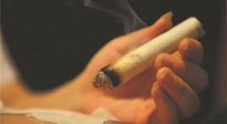 【艾灸知識】春暖花開，衣衫漸薄，再不減肥，身上的肉肉可藏不住了！