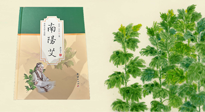 【行業(yè)資訊】國內(nèi)首部艾草專著《南陽艾》，在南陽新書首發(fā)！