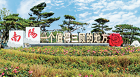 【行業(yè)資訊】南陽一個值得三顧的地方！“丹江水”“仙草艾”成為 “南陽禮物”新爆款！
