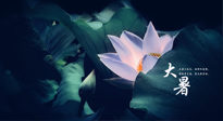 【二十四節(jié)氣灸】趁大暑好好艾灸，才不辜負(fù)三伏天的驕陽(yáng)！