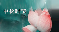 【艾灸三伏天】中伏：三伏灸的關(guān)鍵轉(zhuǎn)折點(diǎn)！“灸”除病根的大好時(shí)機(jī)！