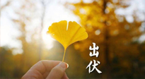 【艾灸三伏天】出伏啦！三防三宜兩穴位，防止身體“秋后算賬”！