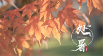 【二十四節(jié)氣灸】處暑，冬病夏治倒計(jì)時(shí)！秋涼真的要來(lái)了！