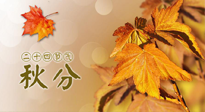 【二十四節(jié)氣灸】秋分節(jié)氣，平衡陰陽，巧用艾灸，潤燥養(yǎng)肺是關(guān)鍵！