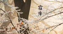 【二十四節(jié)氣灸】霜降節(jié)氣：艾灸四穴，護(hù)您冬天安然無恙！