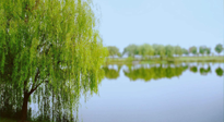 【艾灸知識】春三月，必艾灸穴位：疏肝理氣，養(yǎng)血調(diào)神！