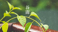 【二十四節(jié)氣灸】谷雨節(jié)氣脾土濕，艾灸降濕濁，脾旺不受邪！