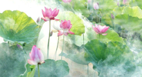 【養(yǎng)生知識】花開半夏，夏至養(yǎng)生，這些知識一定要牢記！