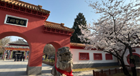 【行業(yè)資訊】新華財經(jīng)：守正創(chuàng)新，中醫(yī)藥品牌化發(fā)展“更上一層樓”！