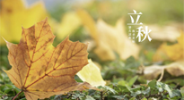【節(jié)氣養(yǎng)生】甲辰立秋，“2做”、“2不做”，護(hù)好我們身體的正氣，預(yù)防外邪的侵襲！