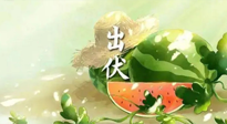 【艾灸三伏天】出伏后記得堅持艾灸，伏后固本，做好至關重要的最后一步！