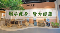【艾草知識(shí)】小小艾草，渾身是寶，一生燃盡此身，皆為健康！
