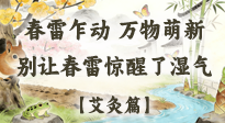【二十四節(jié)氣灸】春雷驚醒濕氣！驚蟄艾灸3穴，疏肝祛濕養(yǎng)元氣！